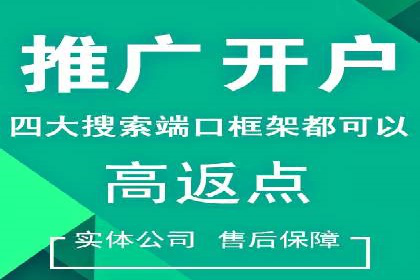 SEM竞价优化实战案例：精准定位目标客户